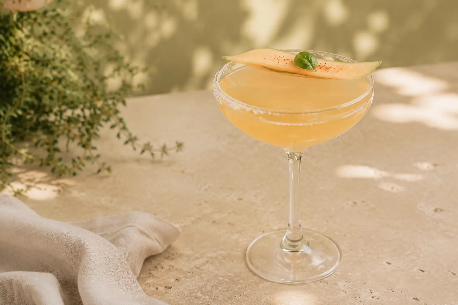 Alcohol-free cantaloupe and roasted oolong mocktail in a coupe with basil and melon ribbon garnish